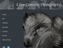 Tablet Screenshot of ellencameron.com